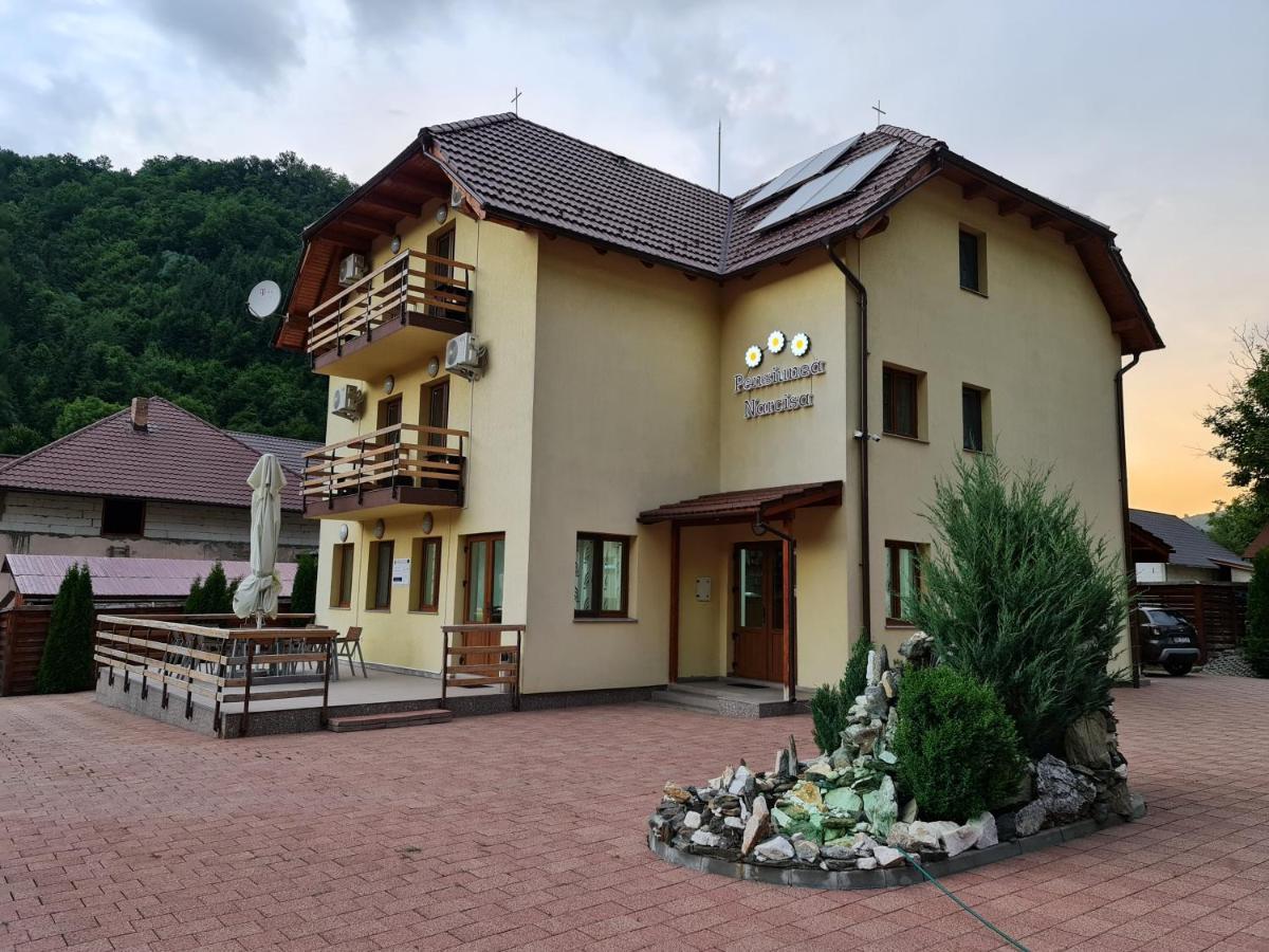 Pensiunea Narcisa Romuli Экстерьер фото