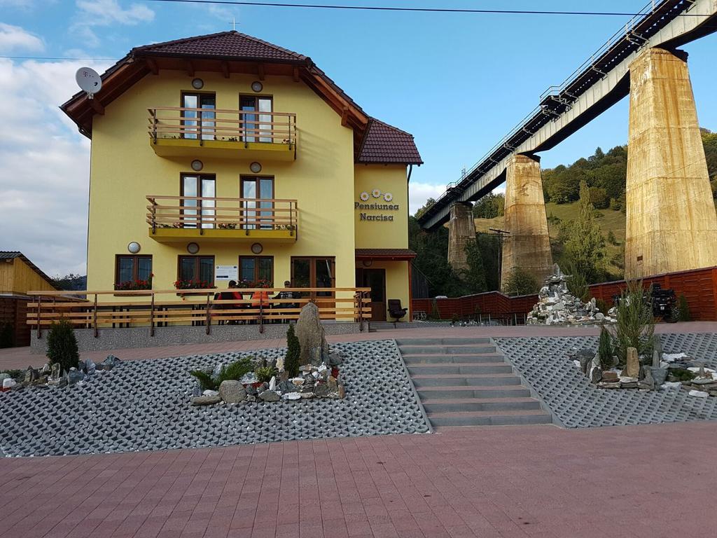 Pensiunea Narcisa Romuli Экстерьер фото